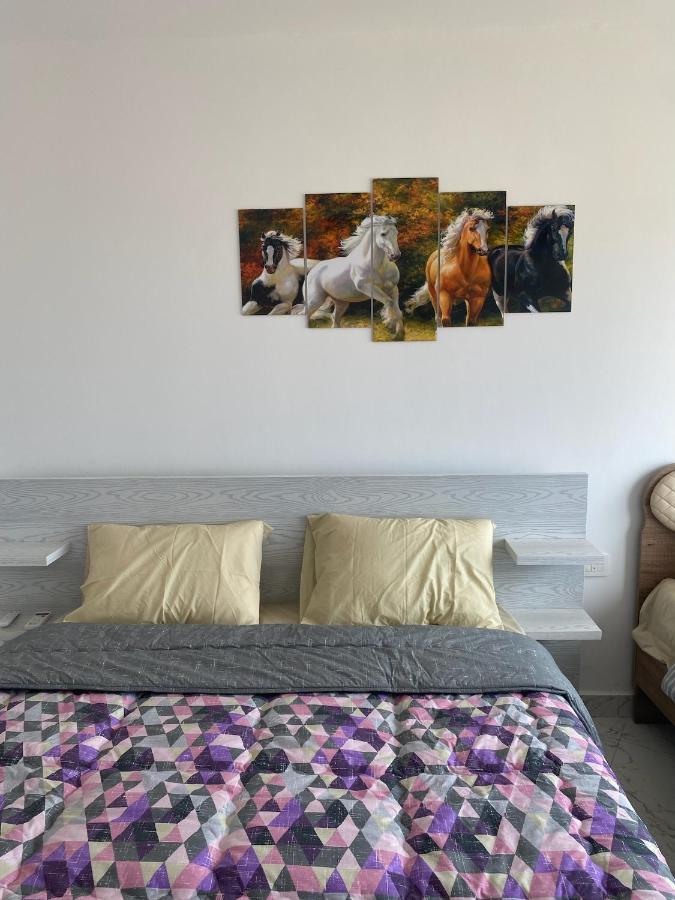 Apartament Blue Whale Front Centre